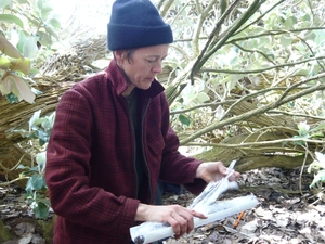 Landcare Research scientist Janet Wilmshurst