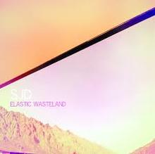 Elastic Wasteland by SJD album cover