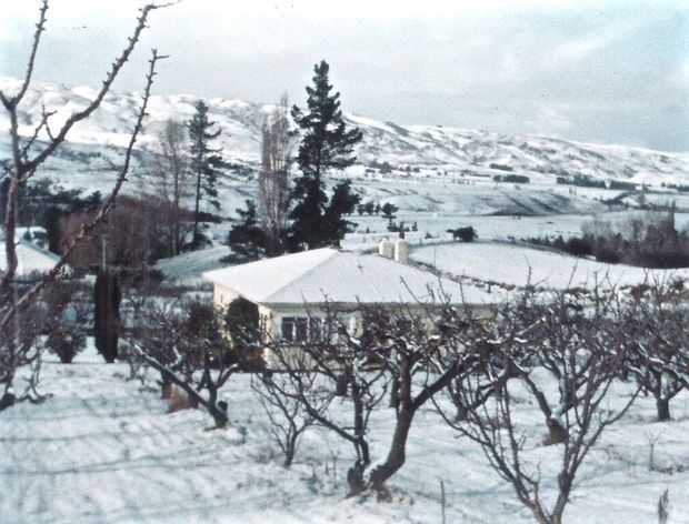 Lusby orchard in winter