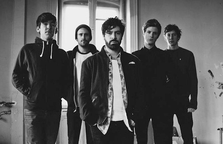 foals