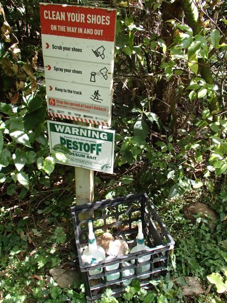 Kauri dieback boot cleaning station